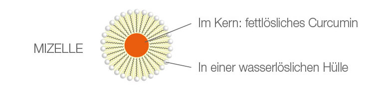 Fettlösliches Curcumin in einer wasserlöslichen Mizell-Hülle