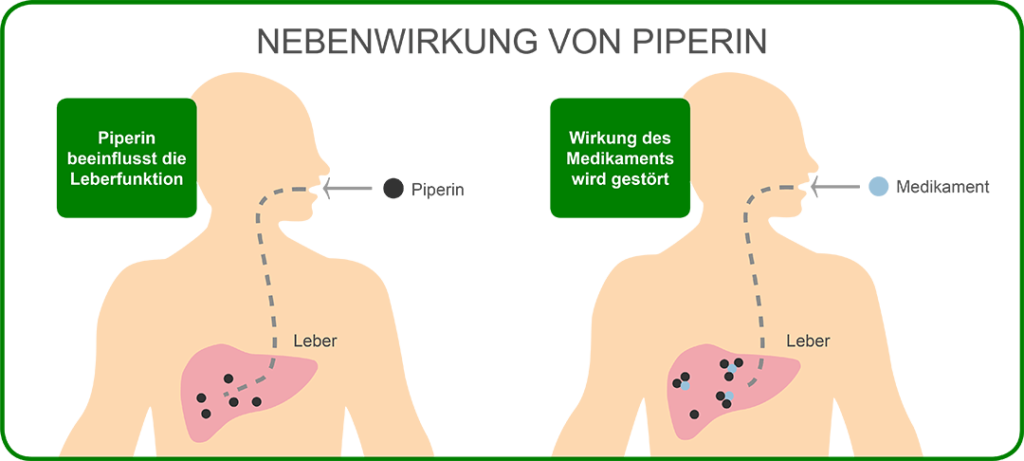 Nebenwirkungen von Piperin